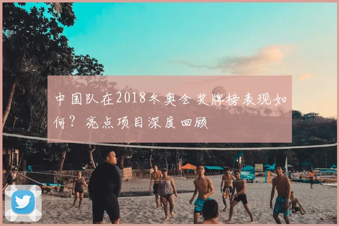 中国队在2018冬奥会奖牌榜表现如何？亮点项目深度回顾